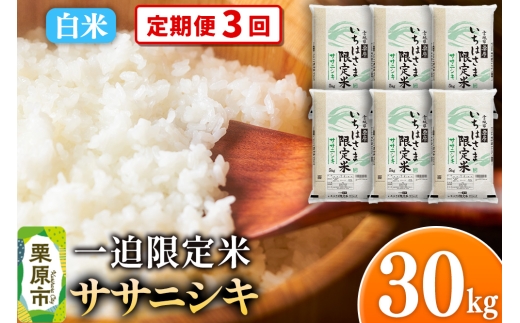 y{錧Iszs3tyāzߘa7NY ꔗ  TTjVL 30kgi5kg×6܁j