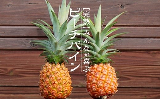 yꌧΊ_szystzs2026N5{`7{\tΊ_YpCibvis[`pCj3ʓ 2kgi1.7~2.2kgjyYn ꌧ Ί_ _ƒ pC t[czTK-