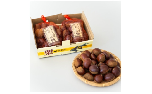 y錧݂sz݂sY nI3L@2kgy1564550z