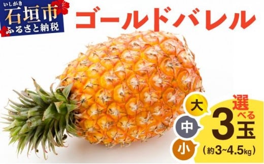 yꌧΊ_szy傫IׂzS[ho ` 3 3`4.5kg TP-15-0