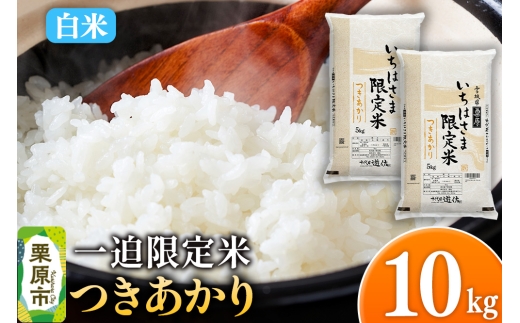 y{錧Iszyāzߘa7NY ꔗ  10kgi5kg×2܁j