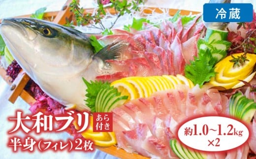 y{茧szya؁zg(̨)1kg×2(ڽ۲ݎdlt) N072-YD0191_1