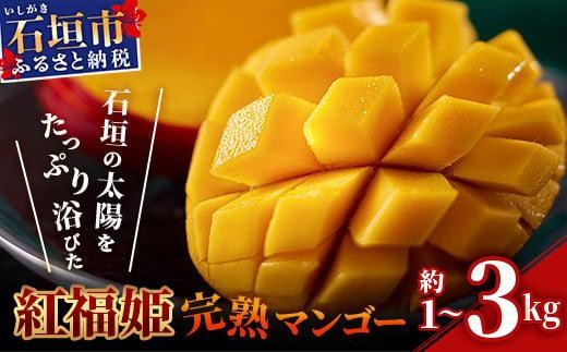 【沖縄県石垣市】先行予約【数量限定】内容量を選べる「紅福姫ブランド」石垣島のマンゴー 約1〜3kg【沖縄県 石垣市 産地直送 旬 石垣島産 マンゴー 完熟マンゴー アーウィン種マンゴー】