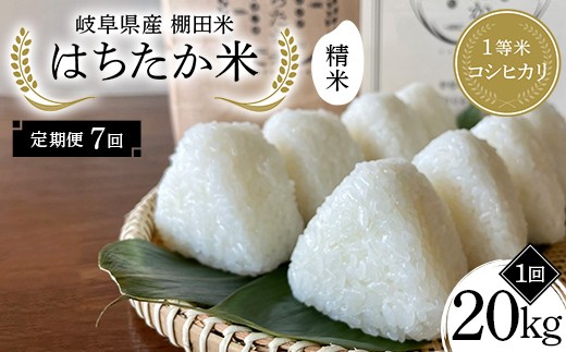 y򕌌Ðszy7ցz򕌌Y Ic 1ăRVqJ ͂ 20kgi10kg×2܁j F4N-2603