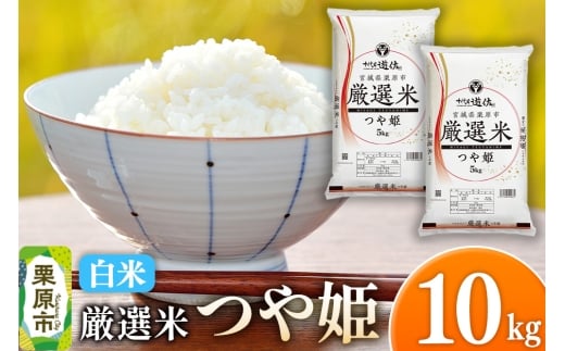 y{錧Iszyāzߘa7NY {錧Is I P 10kgi5kg×2܁j
