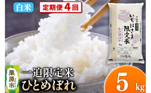 y{錧Iszs4tyāzߘa7NY ꔗ ЂƂ߂ڂ 5kg