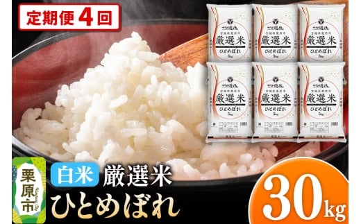 y{錧Iszs4t yāzߘa7NY {錧Is I ЂƂ߂ڂ 30kgi5kg×6܁j