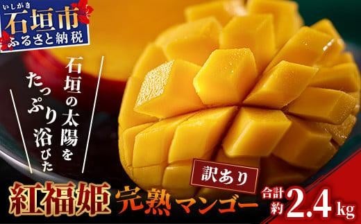 【沖縄県石垣市】訳あり【2026年発送 予約受付分】「紅福姫ブランド」石垣島のマンゴー 約2.4kg 【沖縄県 石垣市 産地直送 旬 石垣島産 マンゴー 完熟マンゴー アーウィン種マンゴー】OT-02