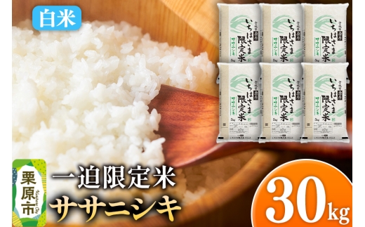 y{錧Iszyāzߘa7NY ꔗ  TTjVL 30kgi5kg×6܁j