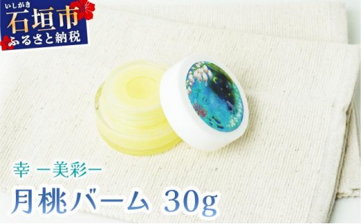 yꌧΊ_szK|ʁ|炢 o[i30gjOA-02