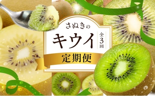 y쌧sz[4631-2734]ʂ̃LECցi3jyʂS[hLECzyʂLEC zy΃LECz