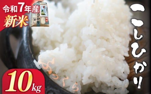 yޗǌޗǎszV ߘa7NY   10kg RVqJ 䂽 Ђ  ӂ  ܖ  Â Yn _ƒ   uh   ٓ ٓ 