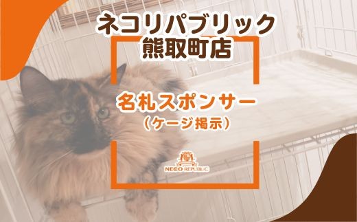 y{F撬zDX|T[iP[Wfji047_5008j