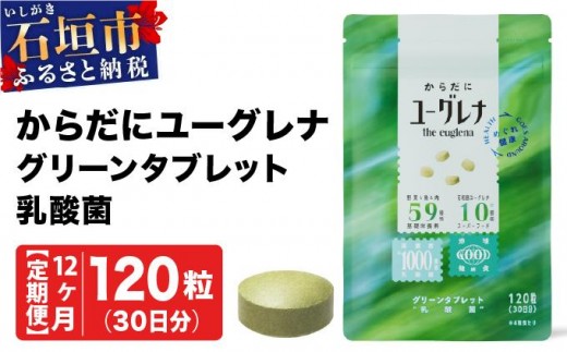 yꌧΊ_szyցzs12t炾Ƀ[Oi O[^ubg_ YG-5-t12