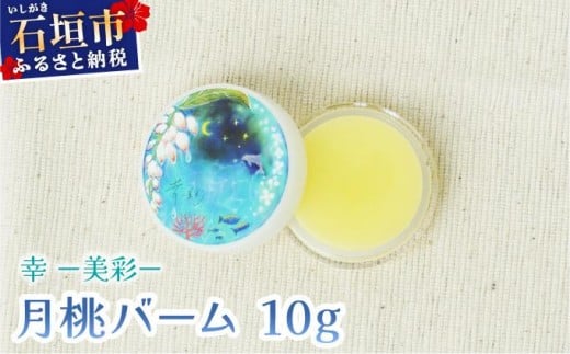 yꌧΊ_szK|ʁ|炢 o[i10gjOA-01