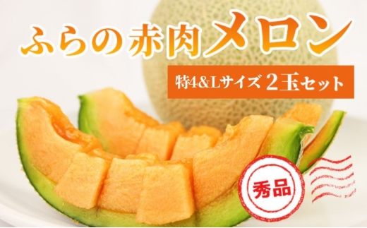 ykCxǖ쒬zy 2026N s\ z ӂ ԓ 4 2kg`2.6kg LTCY 1.6kg`1.9kg e1(v2) I Gi 4TCY Zbg ߂ t[c fU[g  {̉ʕ {