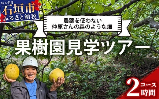 【沖縄県石垣市】<1回1組限定プライベート体験ツアー!>農薬を使わない、仲原さんの「森のような畑」【 沖縄 石垣島 畑 果樹園 見学 体験 ツアー 食育 野菜 果物 沖縄のいいもの石垣島