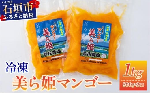 yꌧΊ_szⓀP}S[ 1kgi500g×2܁jCB-3