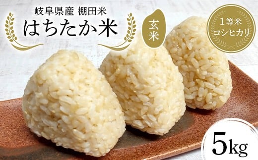 y򕌌Ðsz򕌌Y Ic 1ăRVqJ ͂ 5kg F4N-2618