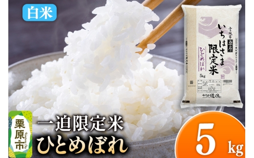 y{錧Iszyāzߘa7NY ꔗ ЂƂ߂ڂ 5kg