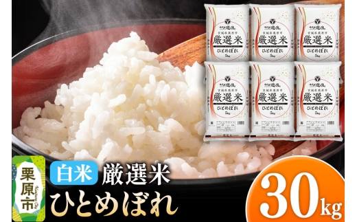 y{錧Iszyāzߘa7NY {錧Is I ЂƂ߂ڂ 30kgi5kg×6܁j