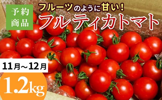 y쌧Hz\i2025N11`12t[ĉ悤ɊÂ teBJg}g 1.2kg ߘa7NxY \񏤕iۏt 5000~