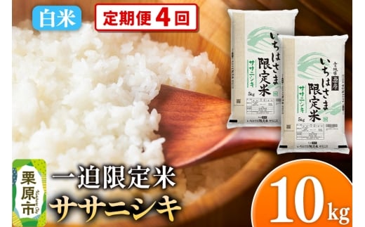 y{錧Iszs4tyāzߘa7NY ꔗ TTjVL 10kgi5kg×2܁j