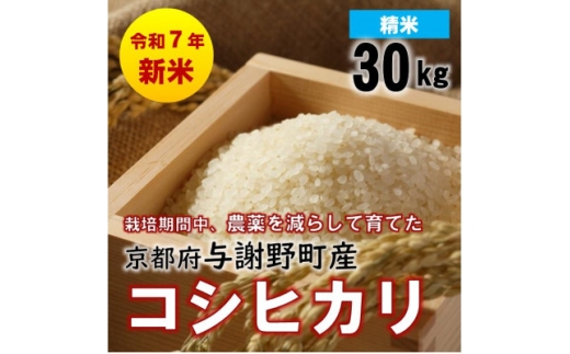 ys{^Ӗ쒬zߘa7NYVā@sOYRVqJ@30kg@͔|ԒA_炵ĈĂā@_ƒy1682132z