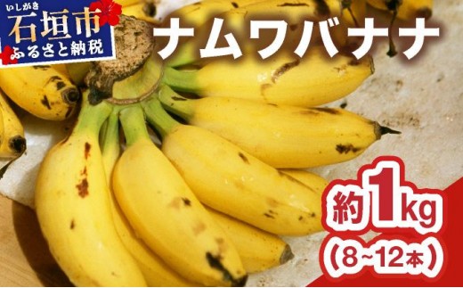 yꌧΊ_sz2026N4`10 Ί_Y 󏭂ȍYwioiixґ1[ۂƖ1kgi8-12{j TF-101_R8