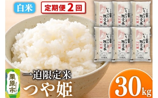 y{錧Iszs2tyāzߘa7NY ꔗ P 30kgi5kg×6܁j