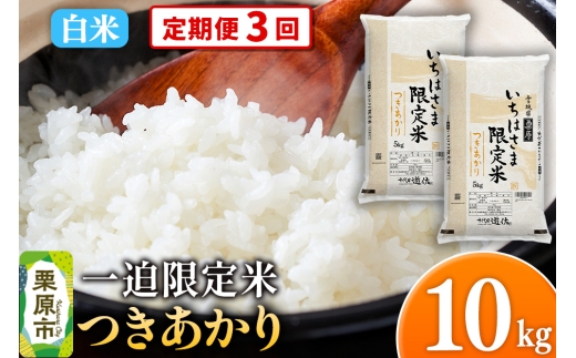 y{錧Iszs3tyāzߘa7NY ꔗ  10kgi5kg×2܁j