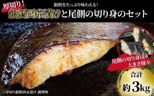 ytszu؂LЁvƕsL̐g v3kg