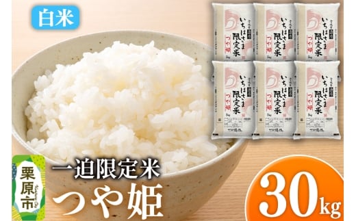 y{錧Iszyāzߘa7NY ꔗ P 30kgi5kg×6܁j