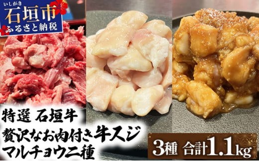 yꌧΊ_szy2025N11ȍ~zIΊ_̋XWƃ}`EA`̖XƒŁIIXW500gA}`E300AX}`E300̂悭΂Zbg |  