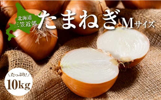 ykCO}sz݂_ƋgY܂˂ lTCY10kg s11{蔭\tb܂˂ ʂ˂   MTCY 10kg O}around܂˂ ӂ邳Ɣ[ kC O}s O