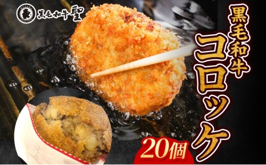 yɌΎszјaRbP20Zbg