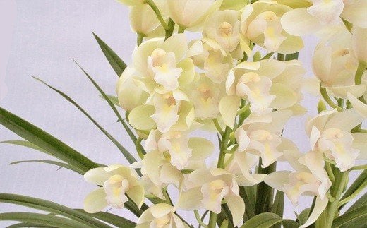 ymzmzm VrW[uACX_Xv i3{j