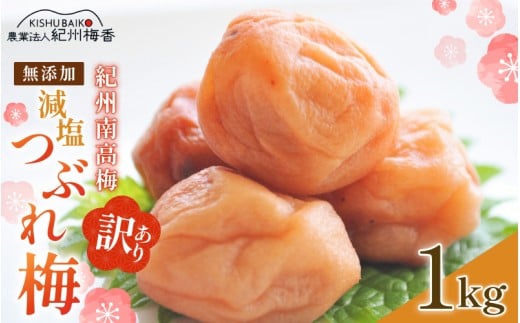 【和歌山県由良町】紀州南高梅 無添加  訳あり 減塩 つぶれ梅 1kg(500×2) 塩分3%  / 紀州南高梅 ワケあり つぶれ つぶれ梅 梅干し うめぼし 南高梅 はちみつ梅 はちみつ漬け 減塩 塩分控えめ