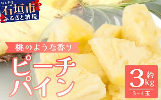 yꌧΊ_szys\zs2026N5{菇tΊ_Y s[`pC 3`4ʃZbg 3sy Yn Ί_Y Ί_ n pC pCibv zTD-5