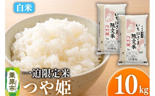 y{錧Iszyāzߘa7NY ꔗ P 10kgi5kg×2܁j