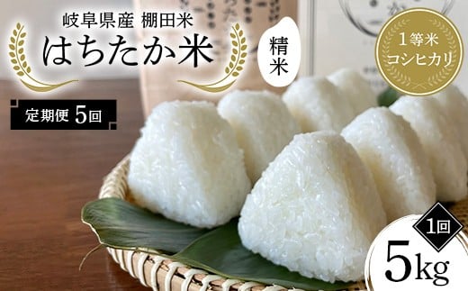 y򕌌Ðszy5ցz򕌌Y Ic 1ăRVqJ ͂ 5kg F4N-2579