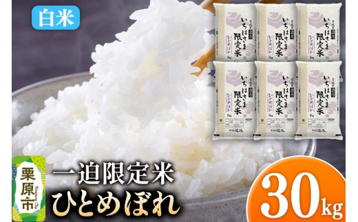 y{錧Iszyāzߘa7NY ꔗ ЂƂ߂ڂ 30kgi5kg×6܁j