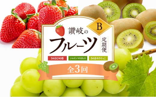 y쌧sz[4631-2750]y2A8A11 z]̃t[c B i3jyʂЂ䕁zyVC}XJbgzyʂLECz