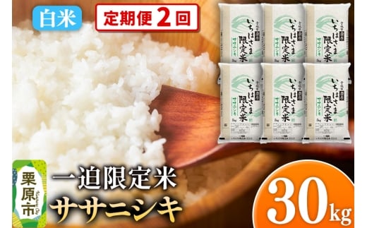 y{錧Iszs2tyāzߘa7NY ꔗ  TTjVL 30kgi5kg×6܁j