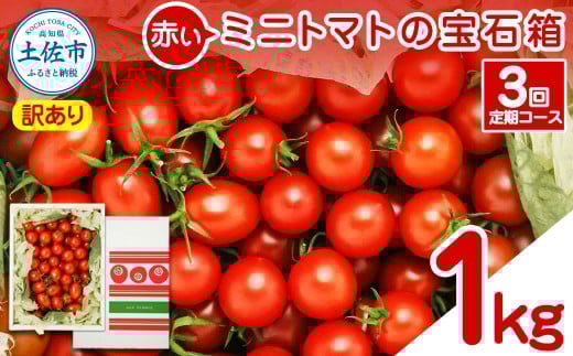 ymysz󂠂 Ԃ~jg}g̕Δ 1kg 1L 3 g}g Ƃ܂ ~bNX lߍ킹 Zbg   T_ }l Ђ  ٓ A ƒp p 