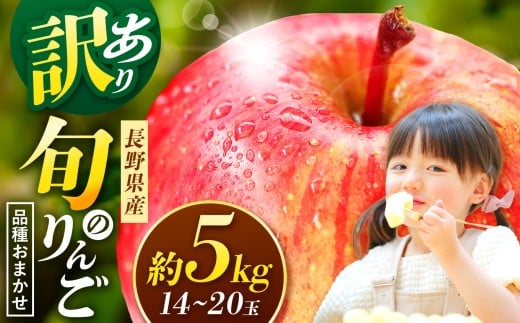 【長野県松本市】信州産 訳ありりんご【品種おまかせ】約5kg (14〜20玉) 【秋映・シナノスイート・シナノゴールド・名月・サンふじ】 | ふるさと納税 訳あり サンふじ 秋映 シナノスイート