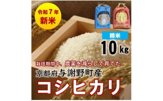 ys{^Ӗ쒬zߘa7NYVā@sOYRVqJ@10kg@͔|ԒA_炵ĈĂā@_ƒy1682127z