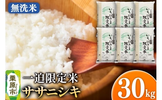 y{錧Iszyāzߘa7NY ꔗ  TTjVL 30kgi5kg×6܁j