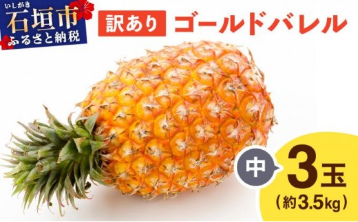 yꌧΊ_sz5{ 󂠂 S[ho  3ʁi3.5kgj TP-19