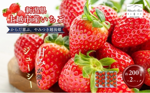 yVzszys\ | 2026N4{o׊Jnz  J_낱 ݂ zP 200g×2pbN (18`30) C`S  zs V